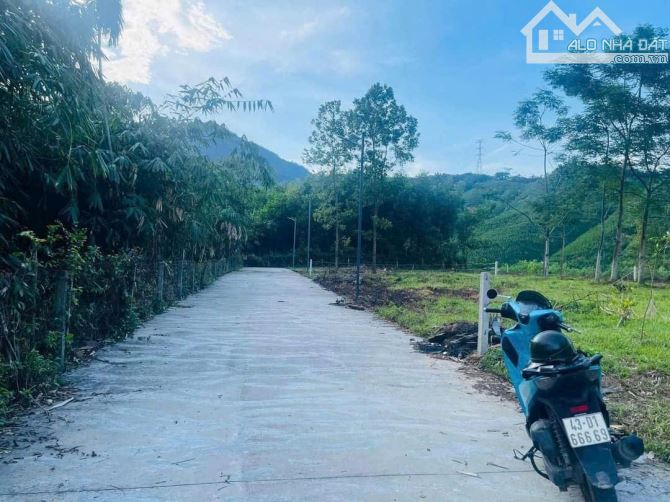 700m2 có 140m2 đất ở cao ráo mát mẻ view suối trên hòa ninh - 2