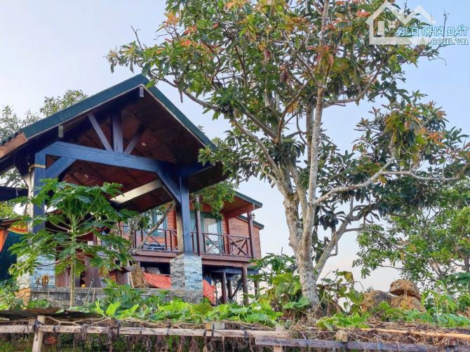 ✈️ Bán Homestay 1000m2 tại Bảo Lộc, Lâm Đồng. - 2