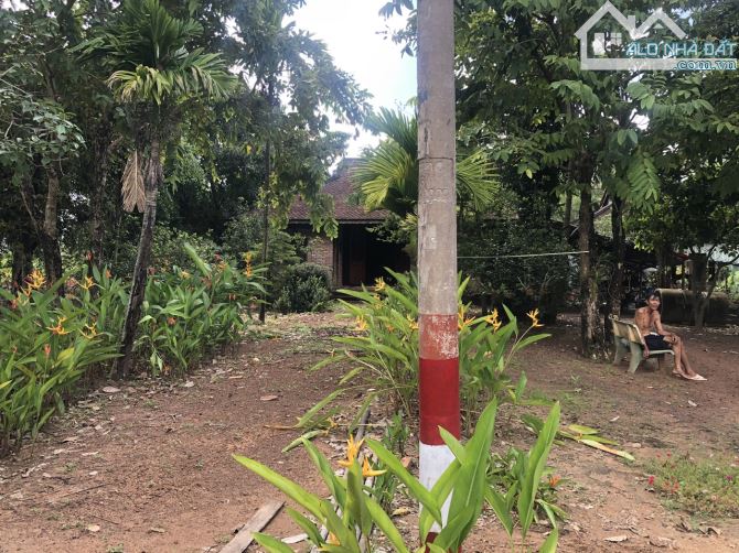 Bán biệt thự vườn Long Phước Quận 9 Thủ Đức 8000m2 giáp rạch - 2
