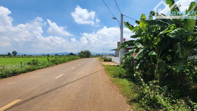 [Siêu Phẩm]HƠn 6000m2, 200m thổ cư, View núi Rchai, ô tô, 7Ty 300Trieu - 2