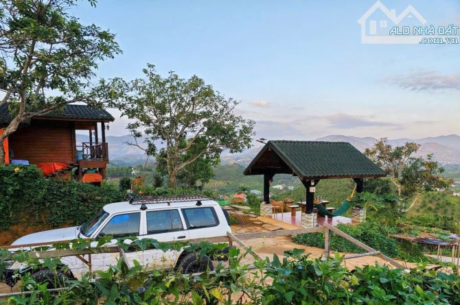 ✈️ Bán Homestay 1000m2 tại Bảo Lộc, Lâm Đồng. - 3