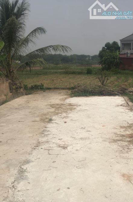 Bán đất thổ cư xã Tân Minh - huyện Sóc Sơn. Diện tích 92 m2 - Giá rẻ 17,5 triệu/m2.