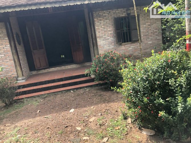 Bán biệt thự vườn Long Phước Quận 9 Thủ Đức 8000m2 giáp rạch - 3