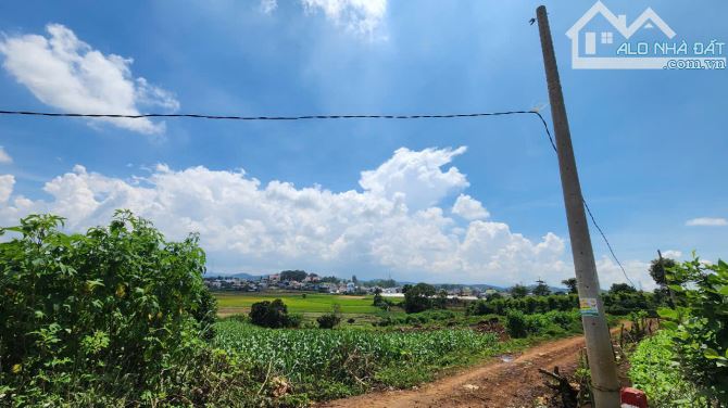 [Siêu Phẩm]HƠn 6000m2, 200m thổ cư, View núi Rchai, ô tô, 7Ty 300Trieu - 3