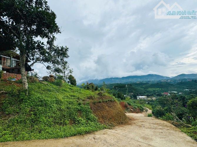 ✈️ Bán Homestay 1000m2 tại Bảo Lộc, Lâm Đồng. - 4