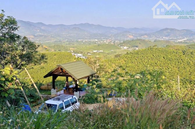 ✨ Homestay Nghỉ Dưỡng View Săn Mây Cực Phẩm tại TP Bảo Lộc. DT: 1.033m2 (25x41m) - 2.9 Tỷ - 4