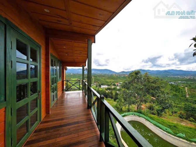 ✈️ Bán Homestay 1000m2 tại Bảo Lộc, Lâm Đồng. - 5