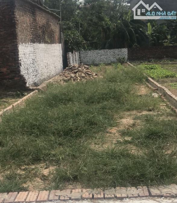 Bán đất thổ cư xã Tân Minh - huyện Sóc Sơn. Diện tích 92 m2 - Giá rẻ 17,5 triệu/m2. - 2