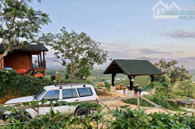 ✨ Homestay Nghỉ Dưỡng View Săn Mây Cực Phẩm tại TP Bảo Lộc. DT: 1.033m2 (25x41m) - 2.9 Tỷ - 5