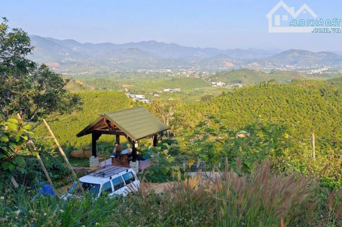 ✈️ Bán Homestay 1000m2 tại Bảo Lộc, Lâm Đồng. - 6