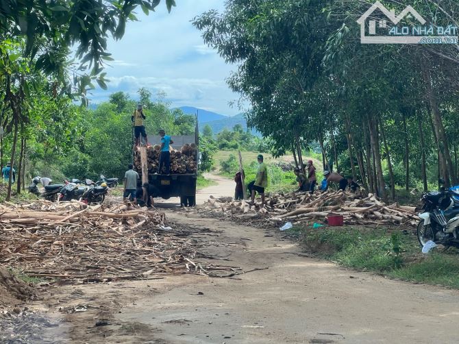 bán đất xã Diên Tân, Diên Khánh rộng 1,8 hecta giáp đường betong gần 200m giá rẻ