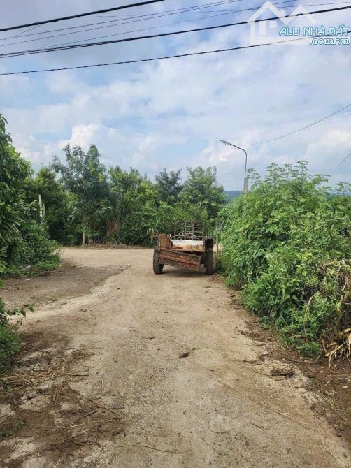 ✨ 2 SỔ gần 4,5 SÀO rẫy cà phê tươi tốt (120m2 ONT). Đường BÊ TÔNG 4M, KDC đông đúc - 850Tr
