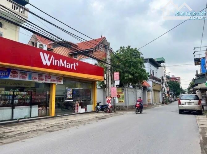 TRONG ĐÊ VẠN 3 THANH TRÌ - LÔ ĐẤT ĐẸP - GIÁ RẺ NHẤT KHU VỰC - 1