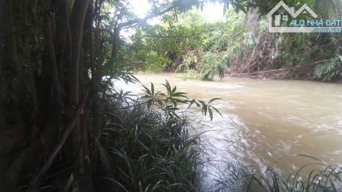 3,2 hecta View Sông 100m, mặt tiền đường đất 220m, cách đường nhựa 500m - 1