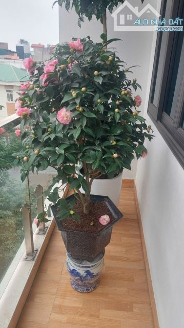 NHÀ ĐẸP 5T*ĐẤU GIÁ PHÚ LƯƠNG*Ô TÔ TẢI ĐỖ TRƯỚC NHÀ,GẦN CHỢ,TRƯỜNG HỌC,WEW THOÁNG. - 2