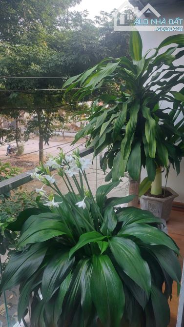 NHÀ ĐẸP 5T*ĐẤU GIÁ PHÚ LƯƠNG*Ô TÔ TẢI ĐỖ TRƯỚC NHÀ,GẦN CHỢ,TRƯỜNG HỌC,WEW THOÁNG. - 5