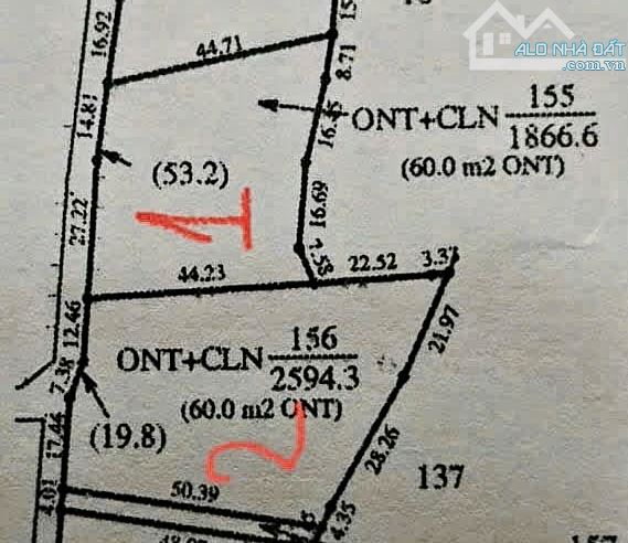 ✨ 2 SỔ gần 4,5 SÀO rẫy cà phê tươi tốt (120m2 ONT). Đường BÊ TÔNG 4M, KDC đông đúc - 850Tr - 6
