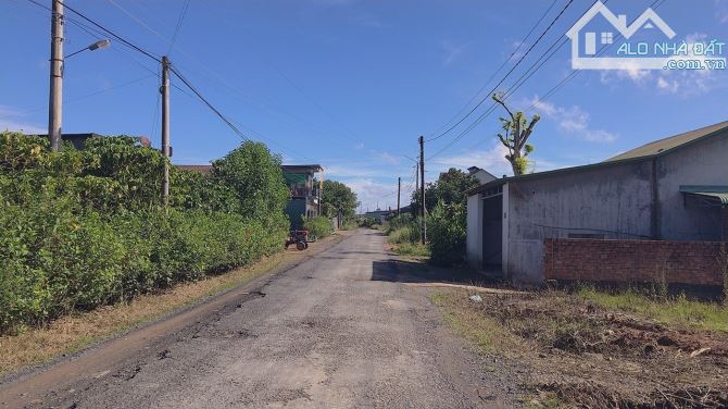 4 sào Bảo Lộc bằng đẹp chỉ 3ty. - 1