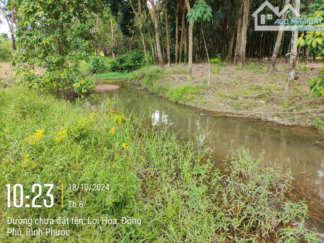Đất Cặp sát UBND   250m2 8x37 đường bê tông 12m dân cư hiên hữu - 1