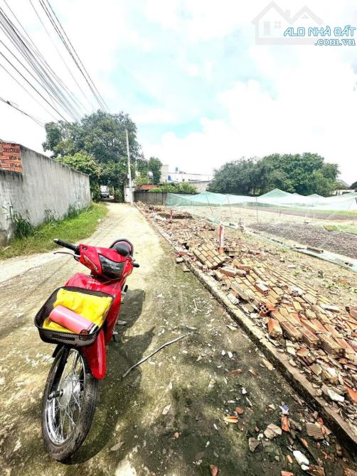 CẦN BÁN GẤP 2 LÔ ĐẤT MỖI LÔ 150M2 - 1TỶ - NGAY THỚI TAM THÔN - HÓC MÔN. - 2