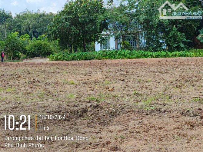 Đất Cặp sát UBND   250m2 8x37 đường bê tông 12m dân cư hiên hữu - 3