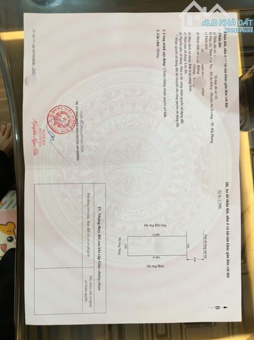 —-Hàng cực phẩm 147m tại tuyến 3 Bãi Huyện Vân Tra - An Đồng - An Dương - 3