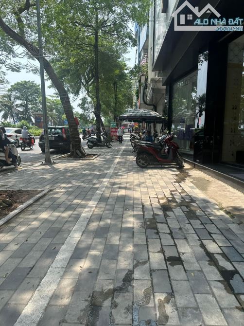 MẶT PHỐ VÍP TÂY HỒ, 100M2, MT RỘNG VỈA HÈ KINH DOANH SẦM UẤT, 36.5 TỶ - 1