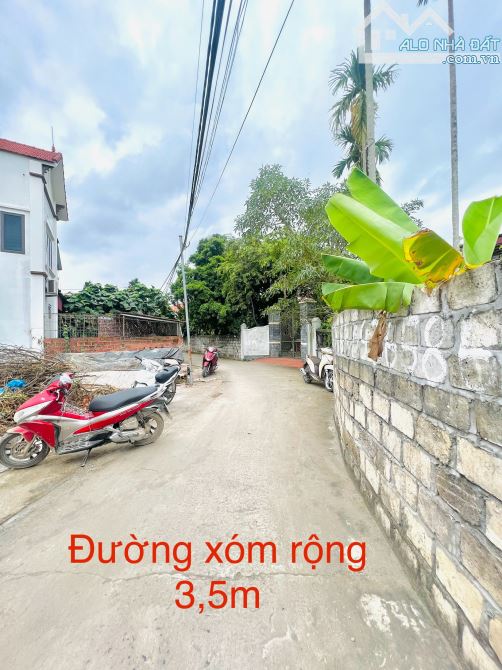 ‼️‼️ Bán lô đất 60m2 đường oto ✅ Giữa trung tâm Lâm Động 👉 Giá chỉ hơn MỘT tỷ - 1