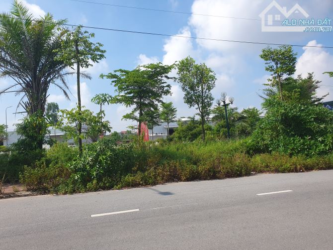 Chủ Cần Bán lô đất biệt thự góc và lô thường tại Khu Dự Án ĐaBaCo Lạc vệ. Nhìn hồ - 2