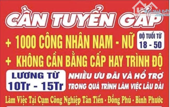 1000m2 có 200tc mt nhựa sát bên KCN xây trọ - 3