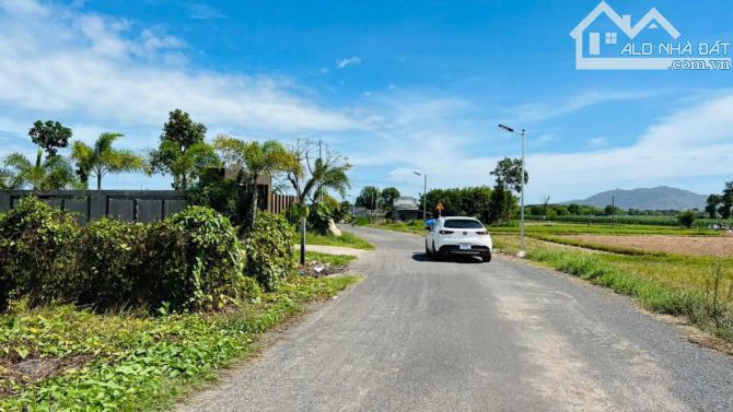 Bán đất trung tâm Thị Trấn Đất Đỏ - đường nhựa Trần Huy Liệu 370m2 - 2