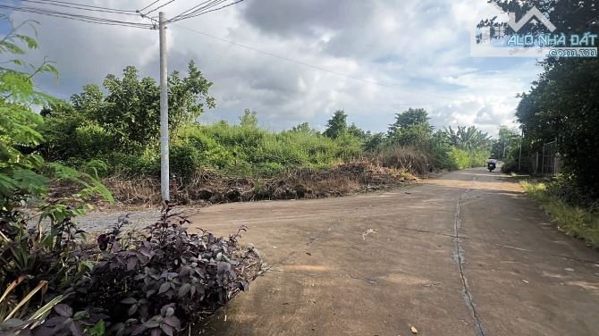 ✨ 5x31m (FULL ONT). Đất nằm trong KDC đầy đủ tiện ích, xung quanh nhà dân hiện hữu - 340Tr