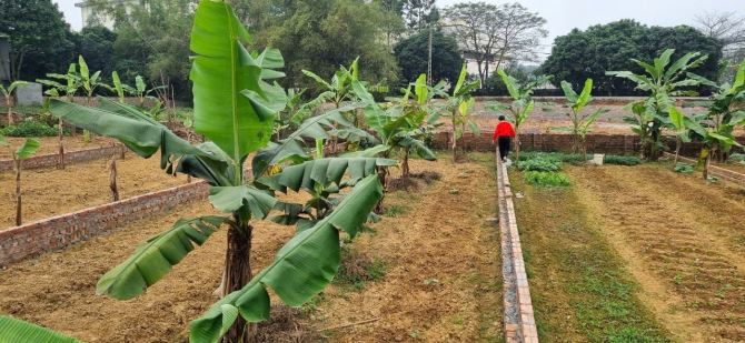 CHÍNH CHỦ BÁN 142M² LÔ ĐẤT TẠI ĐAN TẢO - TÂN MINH - SÓC SƠN - HÀ NỘI - 1