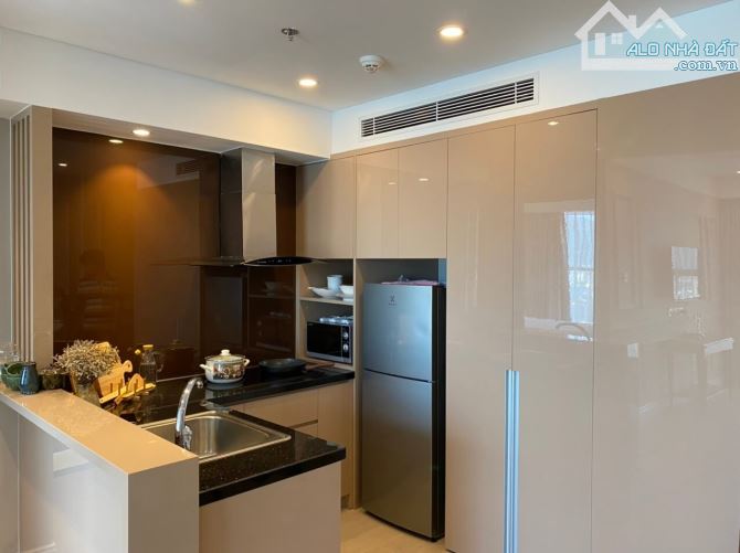 BÁN CĂN HỘ MẶT BIỂN ALPHANAM LUXURY APARTMENT - ĐƯỜNG VÕ NGUYÊN GIÁP, ĐÀ NẴNG - 1