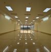 Building số 55 mặt phố Trần Thái Tông. nhà 2 mặt tiền trước sau. Giá mềm như bán đất
