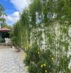VILLA SÂN VƯỜN CÓ THU NHẬP 533M2 VẠN HẠNH GIÁ HẠ SÂU CÒN 22 TỶ