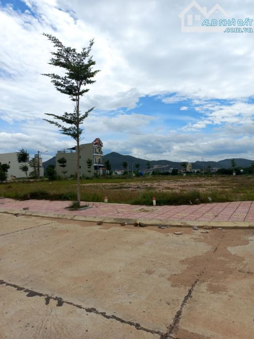 BÁN ĐẤT DT 175 M2 KV HÒA NGHI,NHƠN HÒA, TX AN NHƠN  BÌNH ĐỊNH - 3