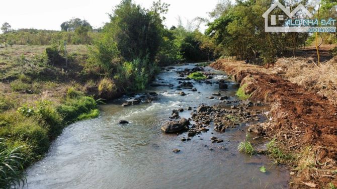 Bán khoảng 3 sào 8 (3842m2) đất Láng Lớn, huyện Châu Đức, BRVT. - 1