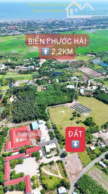 Lô góc đẹp Đối diện trường học Long Mỹ 1543m2(35x53) hạ giá còn 6tỷ - 1