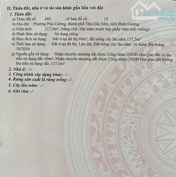 Lô Đất 1/Đường Văn Công Khai, P.Phú Cường, Cách Chợ Bình Dương Chỉ 300m - 5