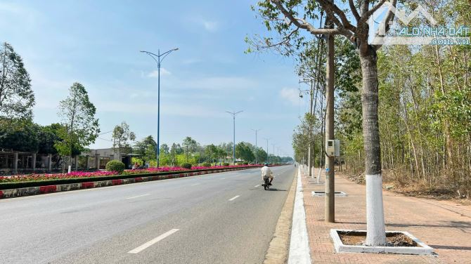 Lô đất quá đẹp 345m2(8x42) TL52 TT Đất Đỏ vừa ở vừa kinh doanh - 10