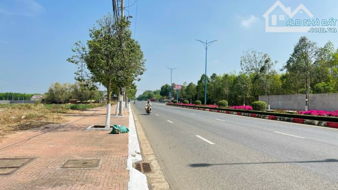 Lô đất quá đẹp 345m2(8x42) TL52 TT Đất Đỏ vừa ở vừa kinh doanh - 11