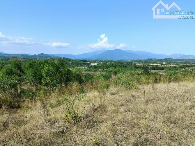 "Bán đất cách Cao Bá Quát 300 mét, cách Khu công nghiệp Sông Cầu, Khánh Vĩnh chỉ 1,1 km. - 1