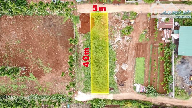 Sốc 200m2 Ngay Trung Tâm TPBMT - Hai Mặt Tiền Trước Sau | To Rộng Đẹp - Giá Chỉ 2 Tỷ xxx - 2