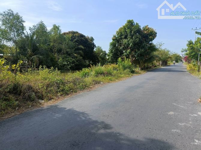 NỀN LỚN THỔ CƯ DT303M(7X42) ĐƯỜNG KÊNH CÙNG (NHỰA 7M), THUỘC XÃ TÂN PHÚ ĐÔNG, TP. SA ĐÉC - 1