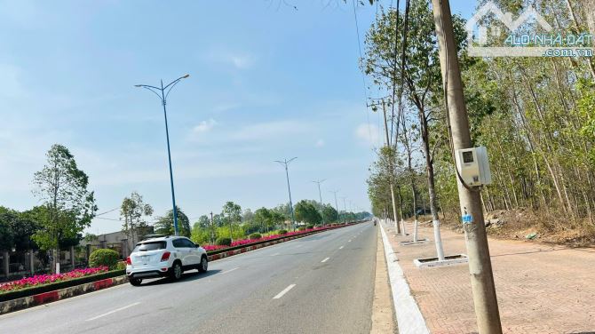Lô đất quá đẹp 345m2(8x42) TL52 TT Đất Đỏ vừa ở vừa kinh doanh - 2