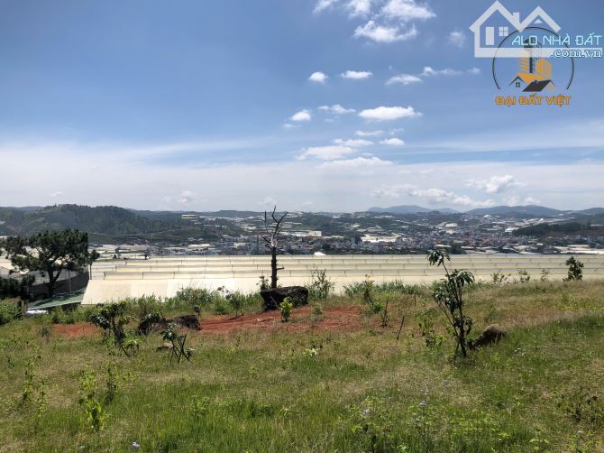 BÁN LÔ ĐẤT VIEW TOÀN CẢNH THỊ TRẤN LẠC DƯƠNG - 5.3 TỶ - 2