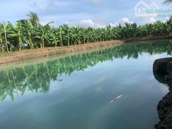 Bán Farm trái cây du lịch sinh thái Buôn Ma thuột - 2