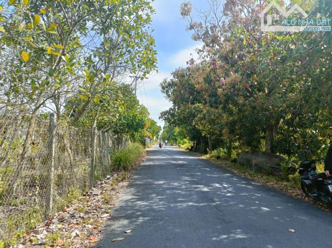 NỀN LỚN THỔ CƯ DT303M(7X42) ĐƯỜNG KÊNH CÙNG (NHỰA 7M), THUỘC XÃ TÂN PHÚ ĐÔNG, TP. SA ĐÉC - 2