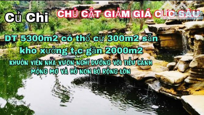 Bán Gấp Nhà Vườn, Xưởng Tâm Huyết - An Nhơn Tây, Củ Chi - 3